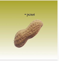 p e n o t